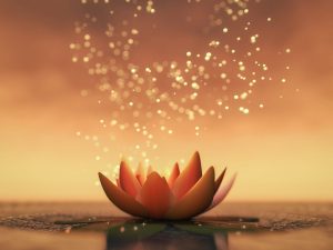 Picture of a lotus flower on water with swirling light motes in the air.